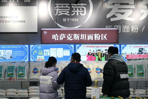 镜观·回响 中哈物流十年见证——西行东进，互联互通下的货物与技术进出口新篇章